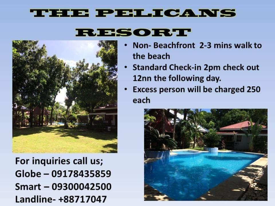 The Pelicans Resort Μπατάνγκας Εξωτερικό φωτογραφία